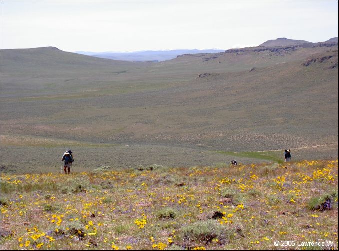 802 shelr bpk 13062005 back frm mahogany mtn pass.jpg